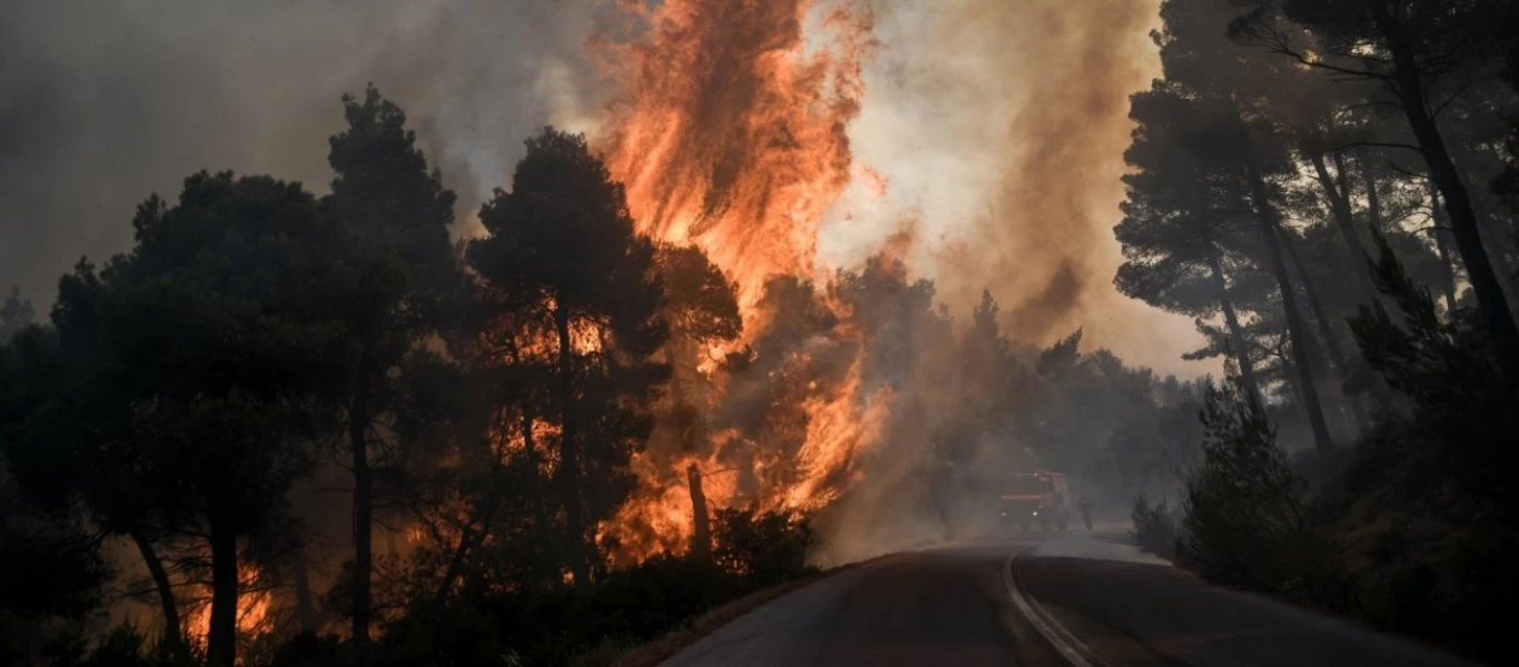Πυρκαγιά σε δασική έκταση στη Βοιωτία